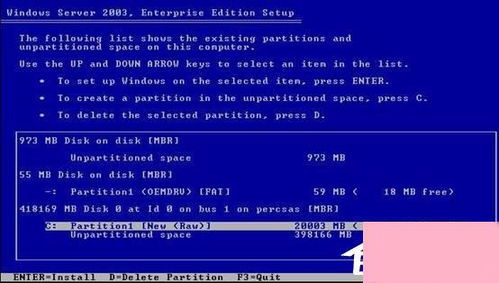 戴爾服務(wù)器安裝Windows Server 2003系統(tǒng)全攻略 從準(zhǔn)備到配置服務(wù)詳解